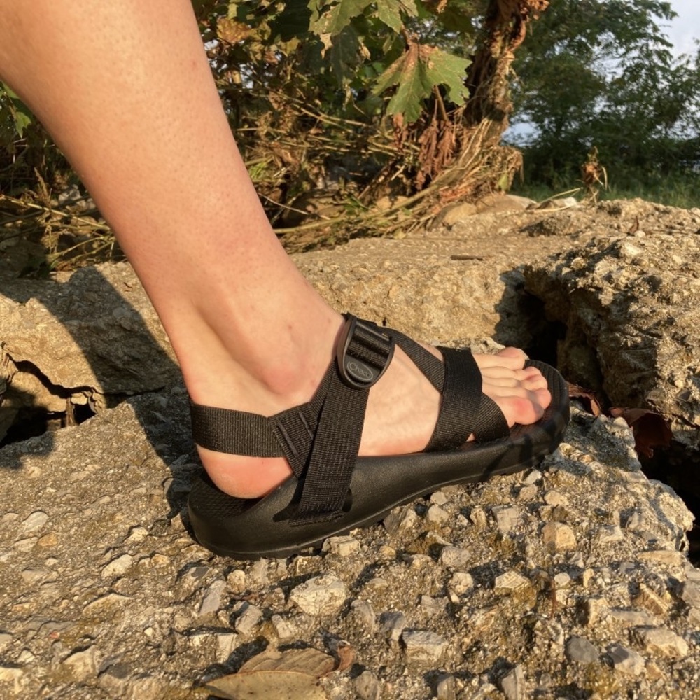 Chaco z1 sandal